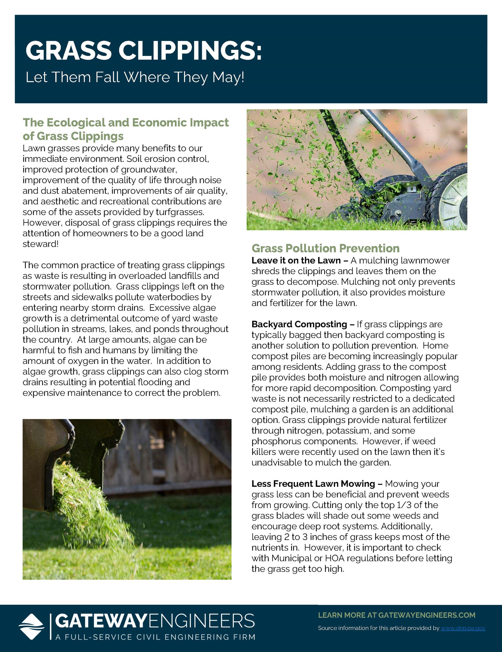 June 2024 Grass Clippings