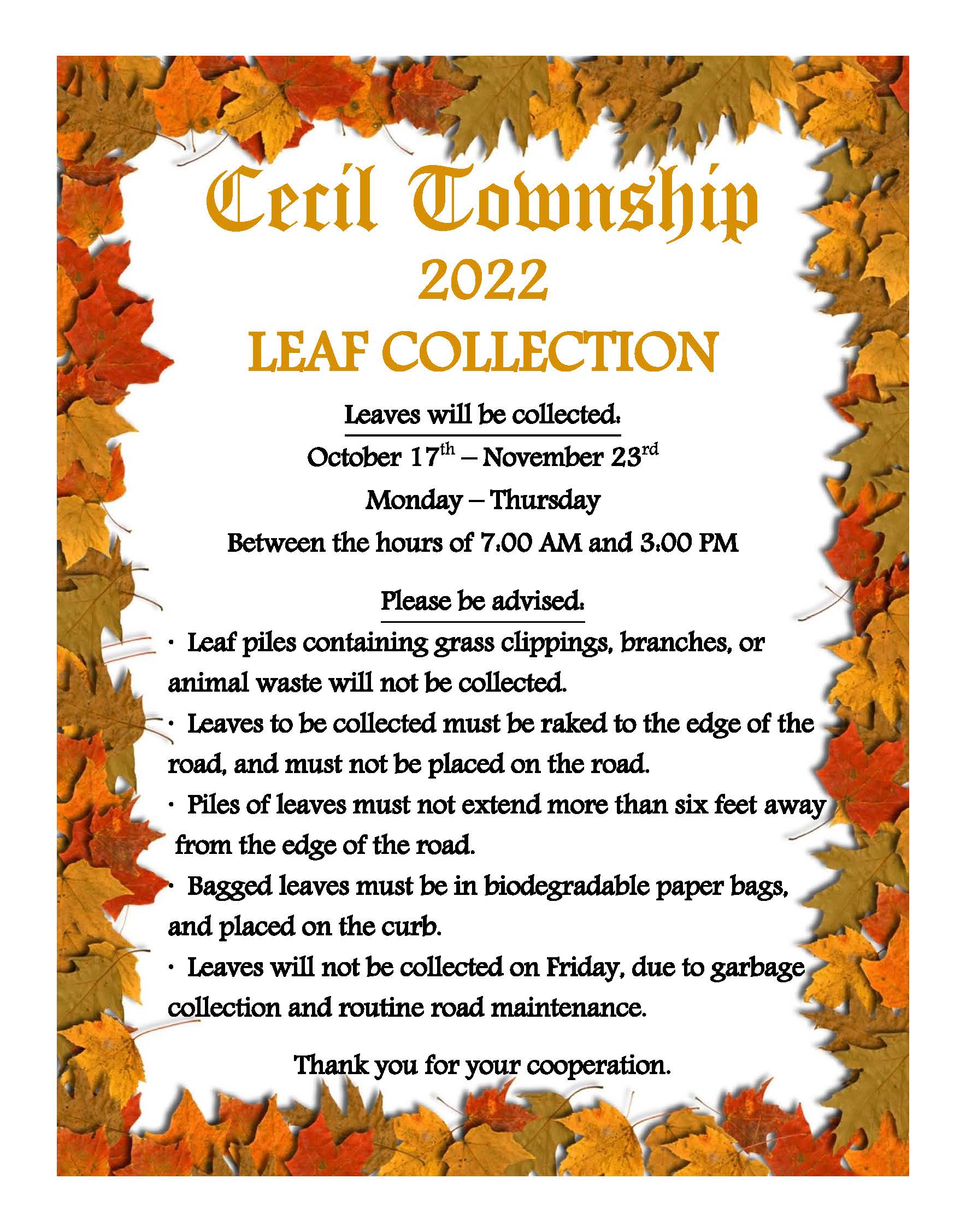 LEAF COLLECTION2022