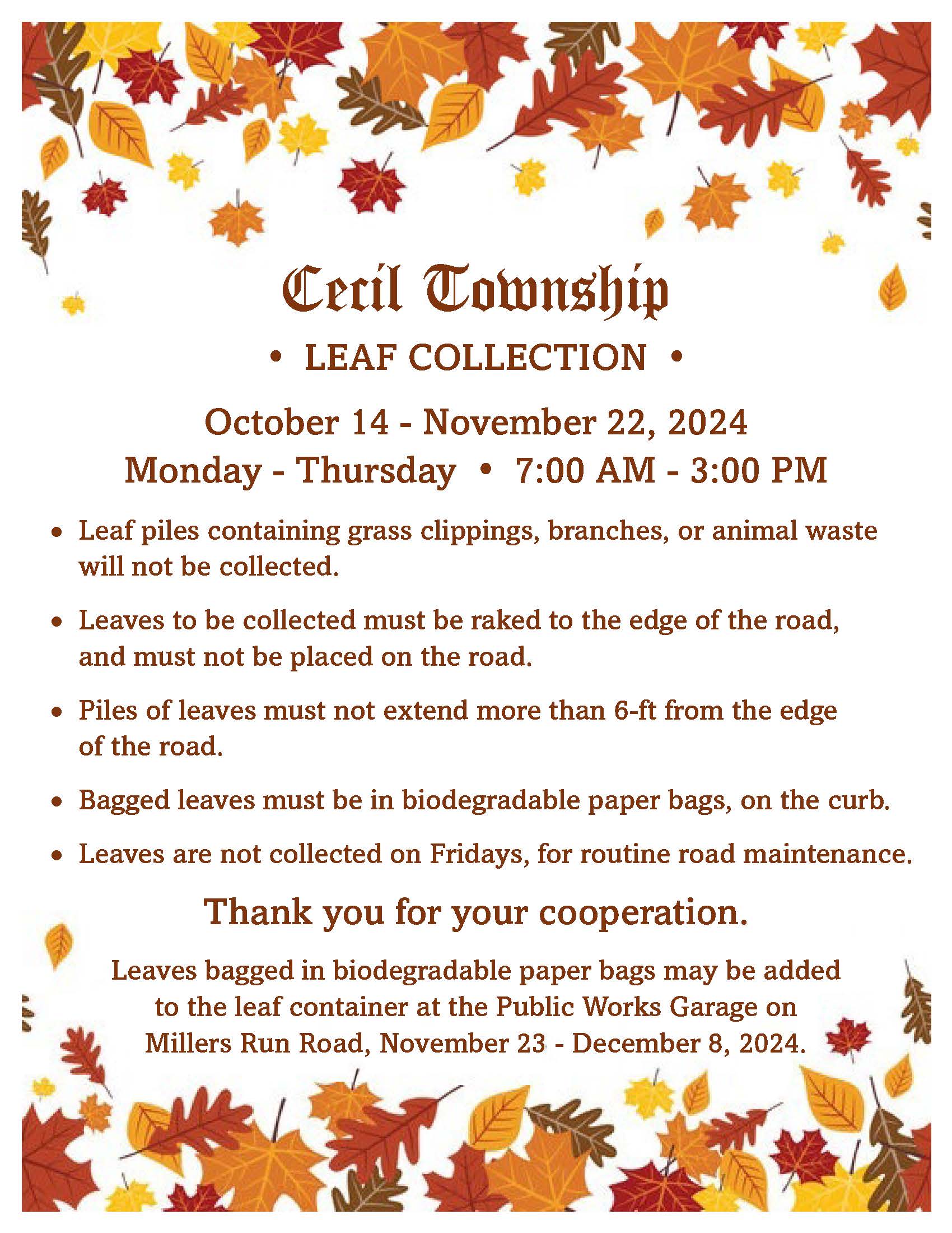 2024 Leaf Collection